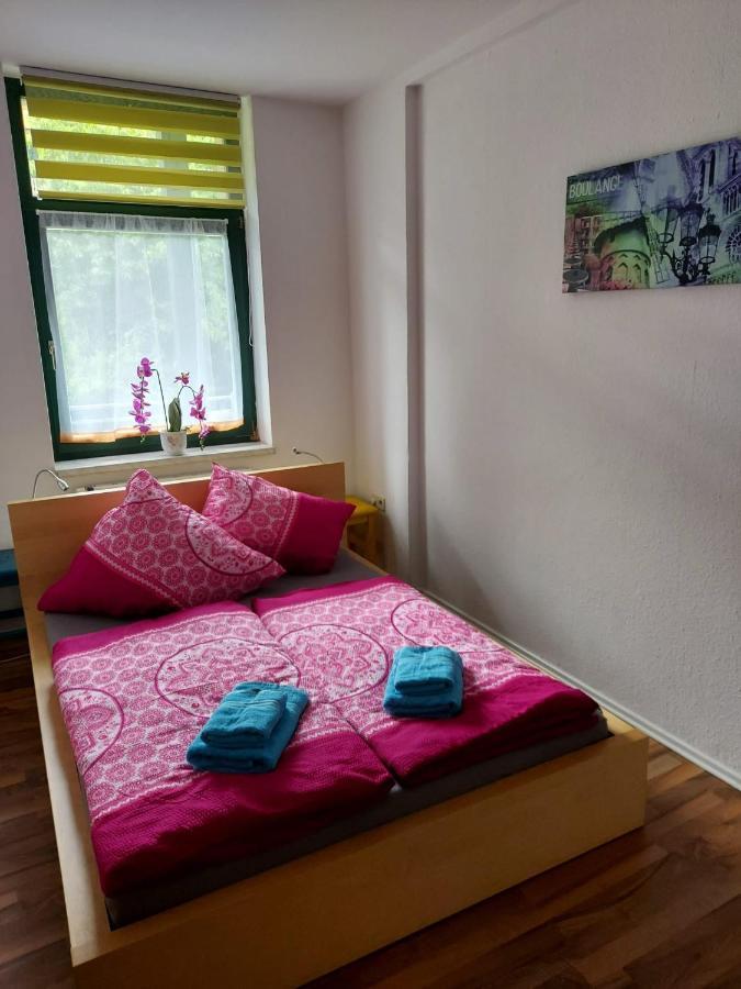 Ferienwohnung Eddi Reichenbach im Vogtland Exterior foto